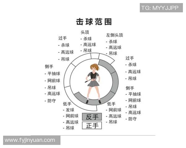 从基础到巅峰:全面解析羽毛球力量训练与技巧提升秘籍 从基础到巅峰:全面解析羽毛球力量训练与技巧提升秘籍