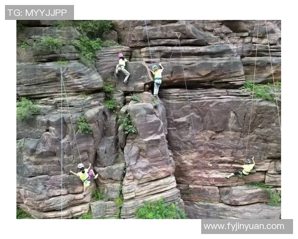 攀岩人生的高峰对话陈丽分享她的挑战与梦想 攀岩人生的高峰对话陈丽分享她的挑战与梦想
