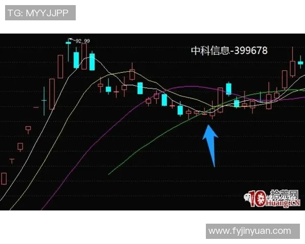 深圳篮球队灵活性分析与战术创新的深度探讨