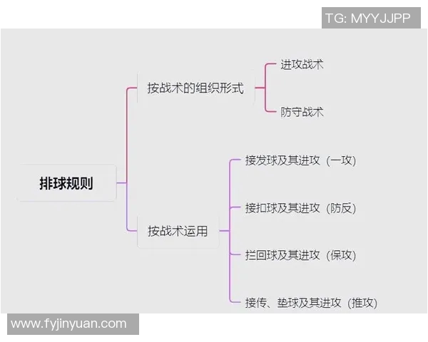 上海排球队防反体系解析：战术布局与实战应用探讨