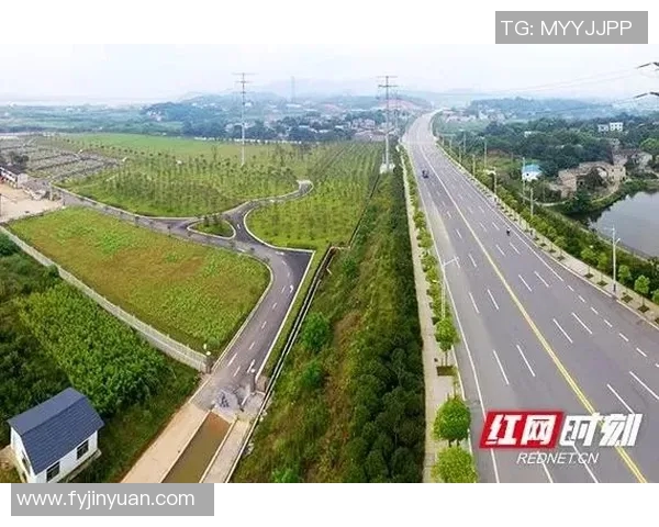 成都排球队的转型之路:从传统强队到现代竞技新标杆的挑战与机遇 成都排球队的转型之路:从传统强队到现代竞技新标杆的挑战与机遇