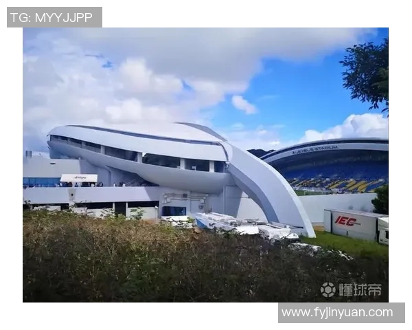 新谢天鹅迎战福冈黄蜂期待精彩对决与激烈角逐